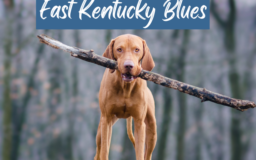 “East Kentucky Blues,” A New Single by Larry Cordle