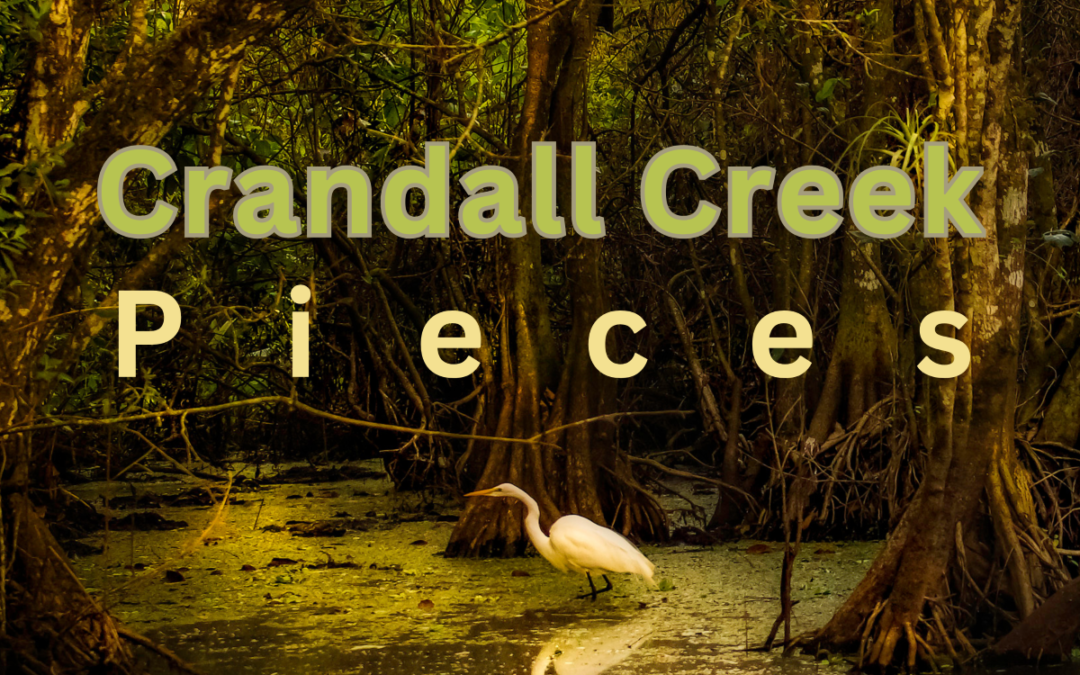 New Single “Pieces” from Crandall Creek